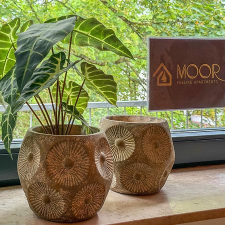 Moor Feeling Apartments Worpswede Exterior photo